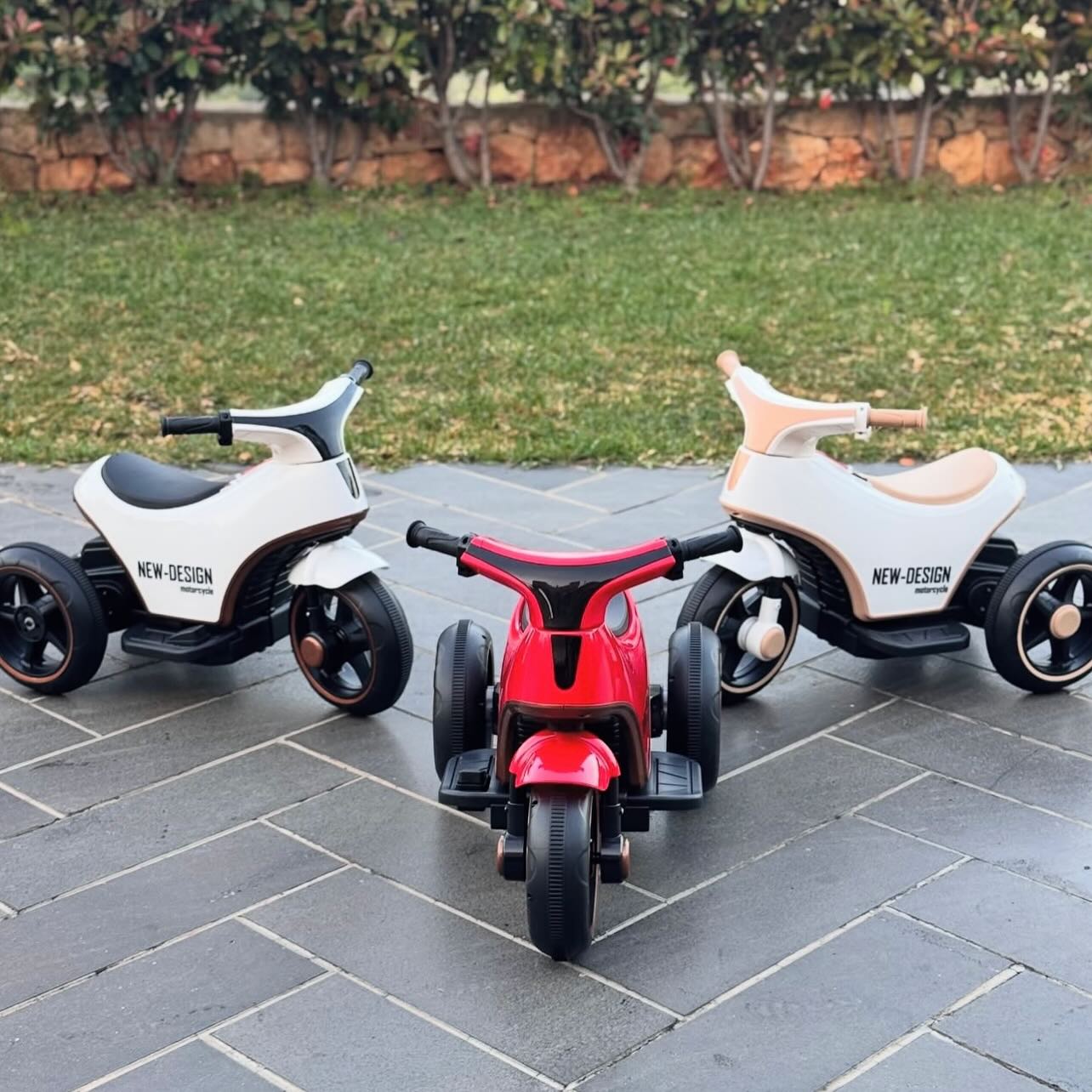 Kids Electric Motorbike – 6V Rechargeable Ride-On with Remote & Self-Drive