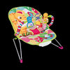 Colorful Baby Bouncer