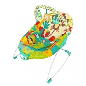 Music & Soothe Bouncer